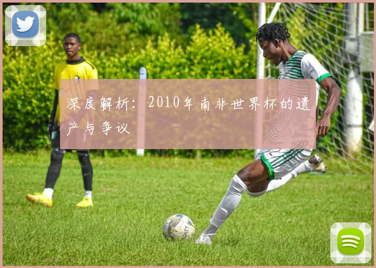 深度解析:2010年南非世界杯的遗产与争议