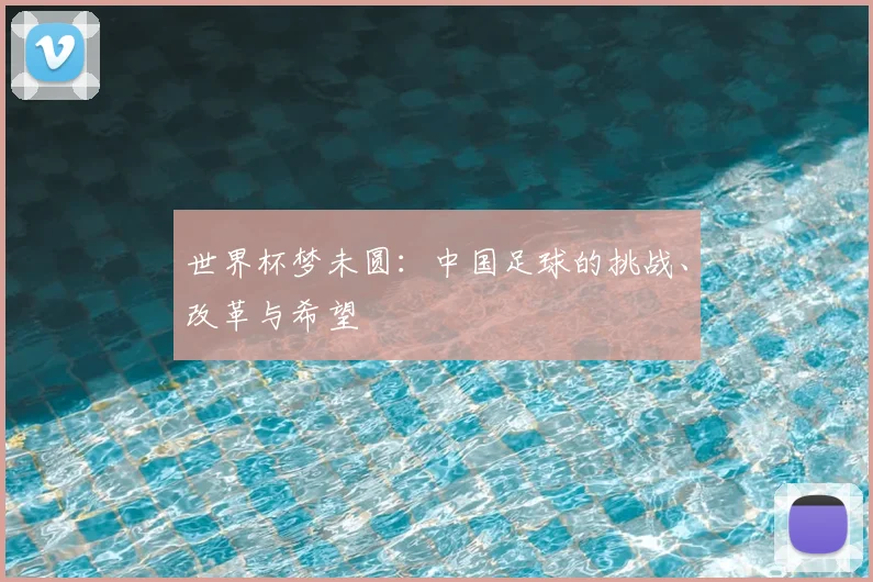 世界杯梦未圆：中国足球的挑战、改革与希望