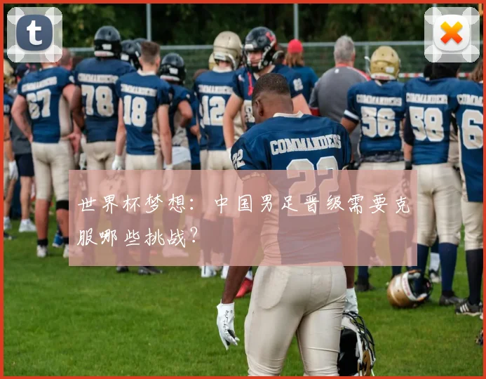 世界杯梦想：中国男足晋级需要克服哪些挑战？