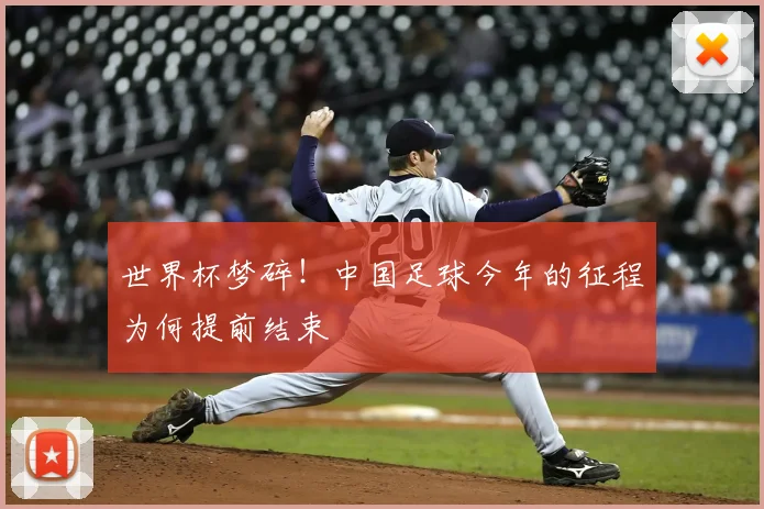 世界杯梦碎！中国足球今年的征程为何提前结束