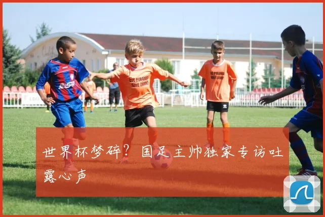 世界杯梦碎？国足主帅独家专访吐露心声
