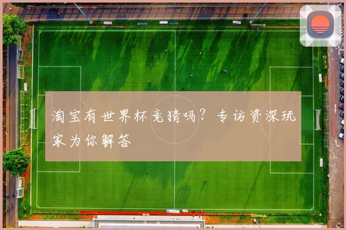 淘宝有世界杯竞猜吗？专访资深玩家为你解答