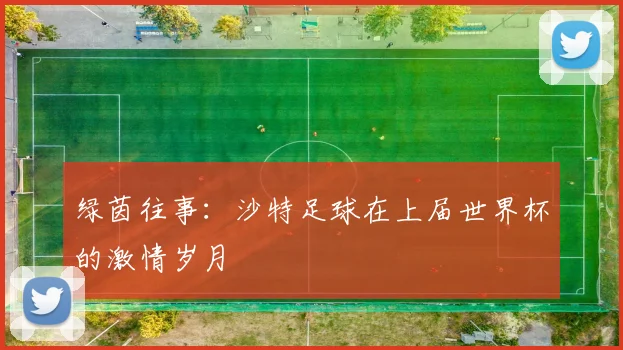 绿茵往事：沙特足球在上届世界杯的激情岁月